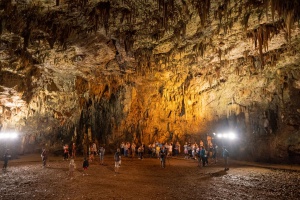 307106095_1232277410903996_5082469566763147354_n